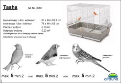 Alternative view of Tasha sans support, bac,chrome/anthracite