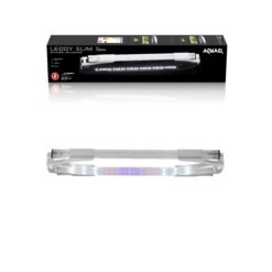 LEDDY SLIM PLANTE BLANC 2.0