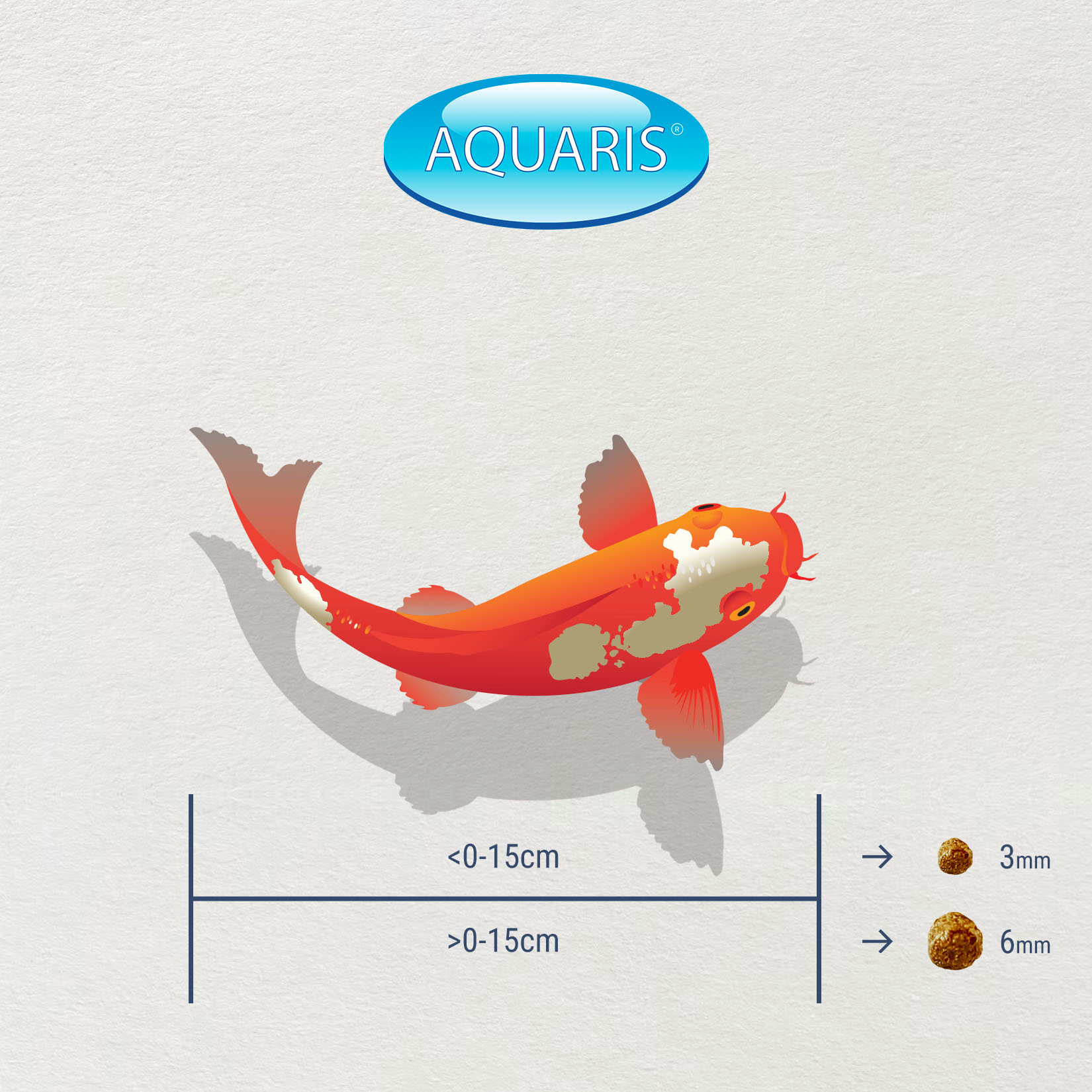 KI-JA-KO Color / couleur / 6mm 3Kg KI-JA-KO Color / couleur / 6mm 3Kg