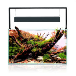 Alternative view of ULTRASCAPE FOREST SET