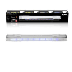 LEDDY SLIM SUNNY BLANC 2.0