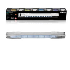 LEDDY SLIM MARINE BLANC 2.0