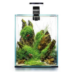 Shrimp Set Day & Night, 30l, noir