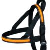 Harnais confort Flash USB, XL: 80-100 cm, noir/orange