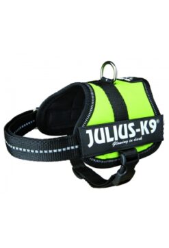 Harnais Power Julius-K9, Baby 2/XS-S,vert pastel