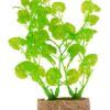 Plante en plastique avec base en sable, 12cm
