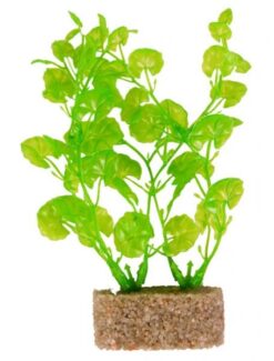 Plante en plastique avec base en sable, 12cm