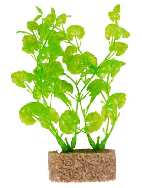 Plante en plastique avec base en sable, 12cm nur per VE Plante en plastique avec base en sable, 12cm nur per VE