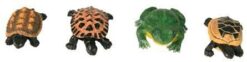 12er Set grenouilles+tortues petit Fr.2.90, gr. Fr. 5.20