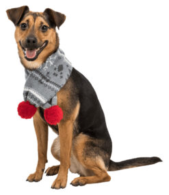 6 Xmas écharpes de Noël, 2×S/M/L, produit assorti