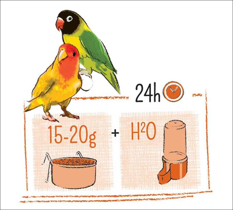 Puur agapornis 750g Puur agapornis 750g