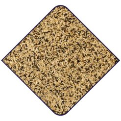 Alternative view of EXPERT Canaris