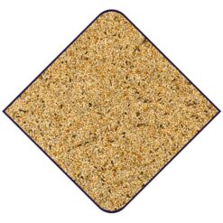 Alternative view of EXPERT Perruches