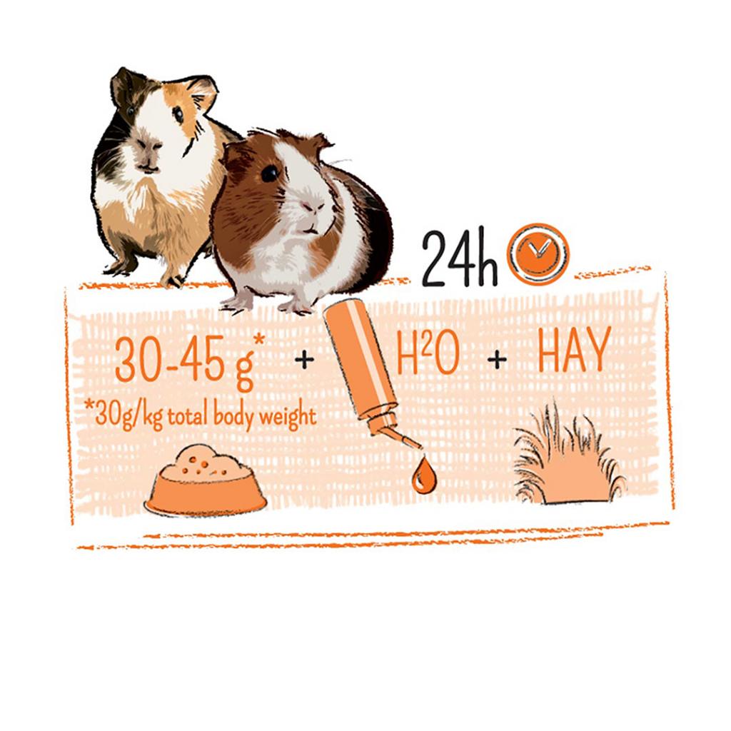 Puur cochon d'inde aliments complets 700gr. Puur cochon d'inde aliments complets 700gr.