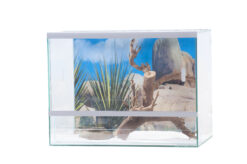 Terrarium 50x30x30cm