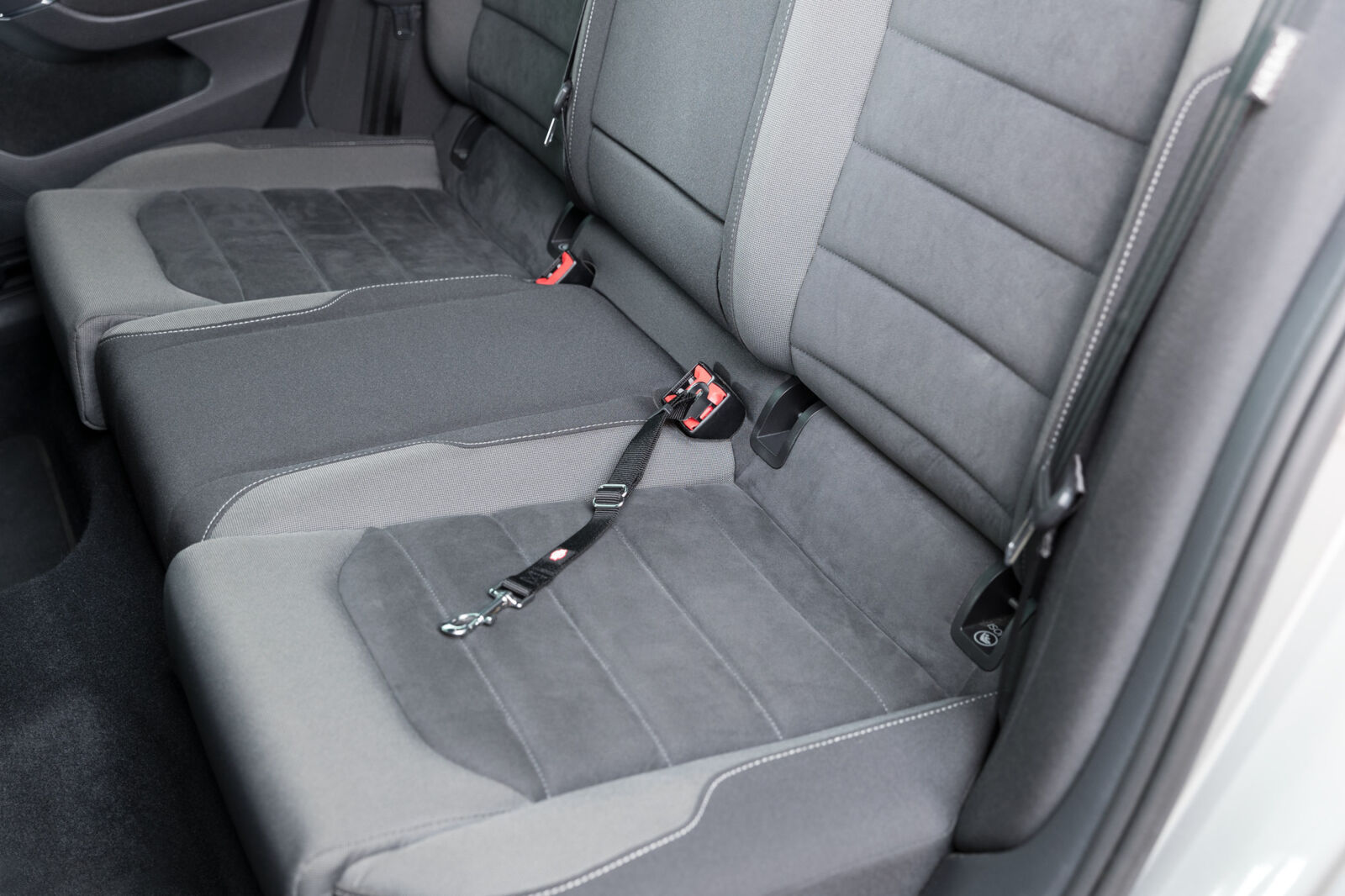 Anschnallgurt XS-S: 30-45cm / 20mm Anschnallgurt XS-S: 30-45cm / 20mm