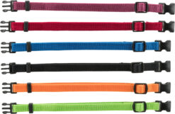 Collier chiot, noir, rouge, bleu, vert, orange, violet