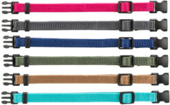 Collier chiot, rose, gris, indigo, vert forêt, marron, océan