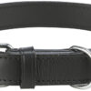 Active Halsband, schwarz