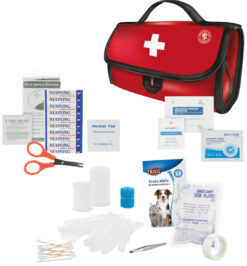 Trousse de premiers secours premium