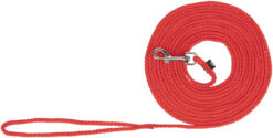 Laisse de chasse, Nylon, 5m,rouge