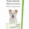 Multivitamin-Paste für Hunde