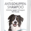 Shampooings antipelliculaire