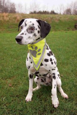 Sicherheits-Halstuch,reflektor