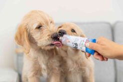 Alternative view of Junior Leberwurst, 75 g