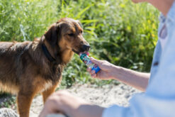 Alternative view of Pâté végétarienne, 75 g