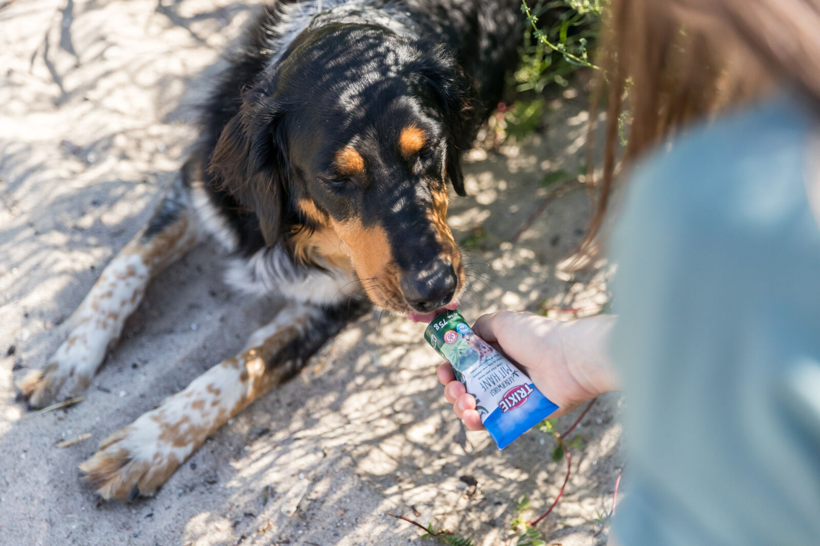 Leberwurst mit Hanf, 75 g nur per VE 12Stk. Leberwurst mit Hanf, 75 g nur per VE 12Stk.