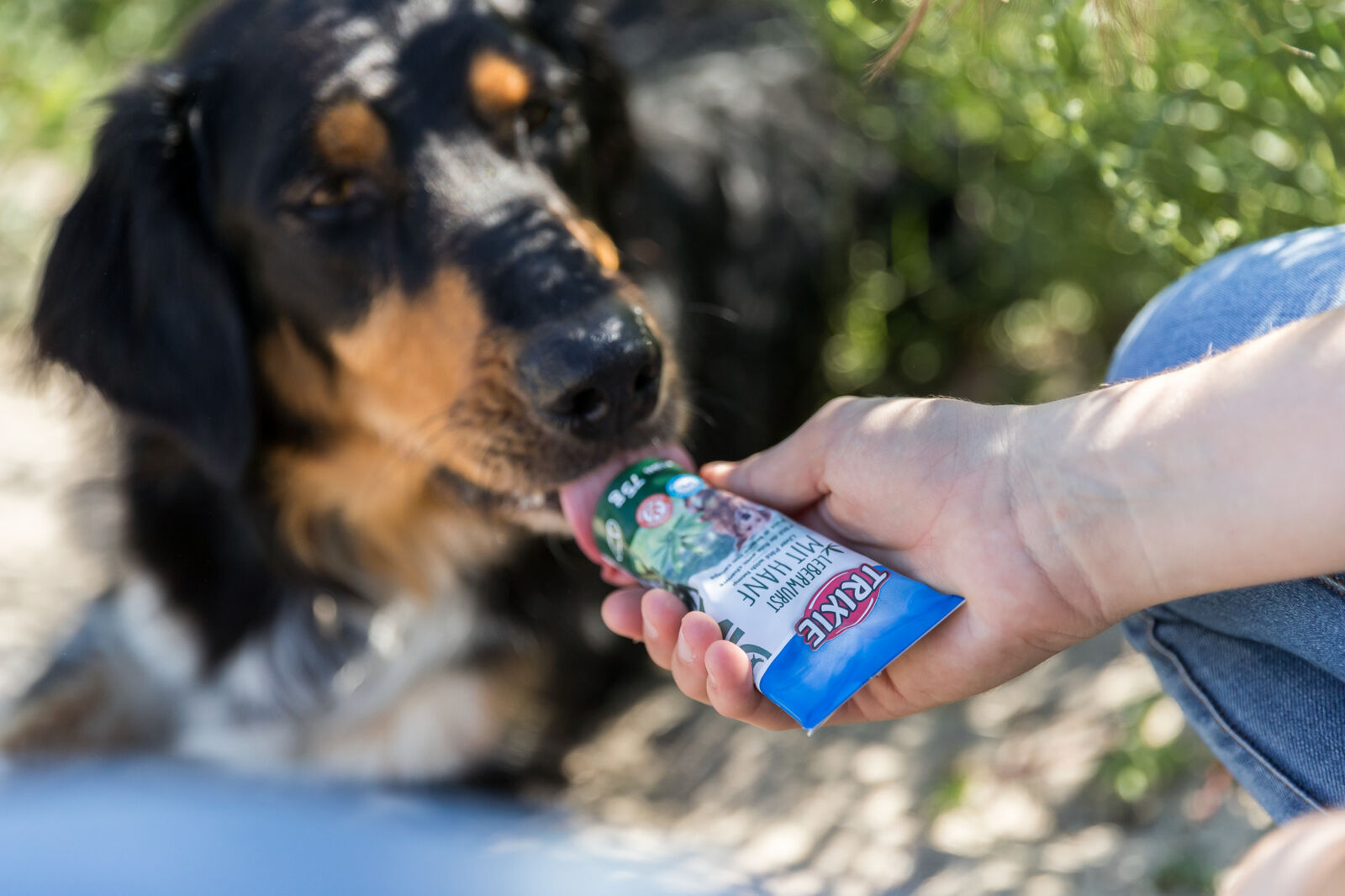Leberwurst mit Hanf, 75 g nur per VE 12Stk. Leberwurst mit Hanf, 75 g nur per VE 12Stk.
