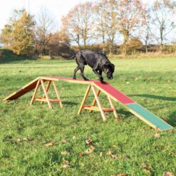 Dog Activity Agility Dogwalk