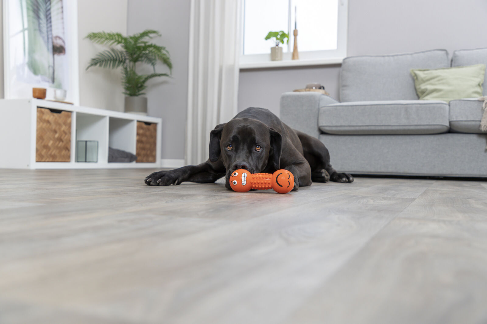 Smiley haltère, latex, 19cm Smiley haltère, latex, 19cm