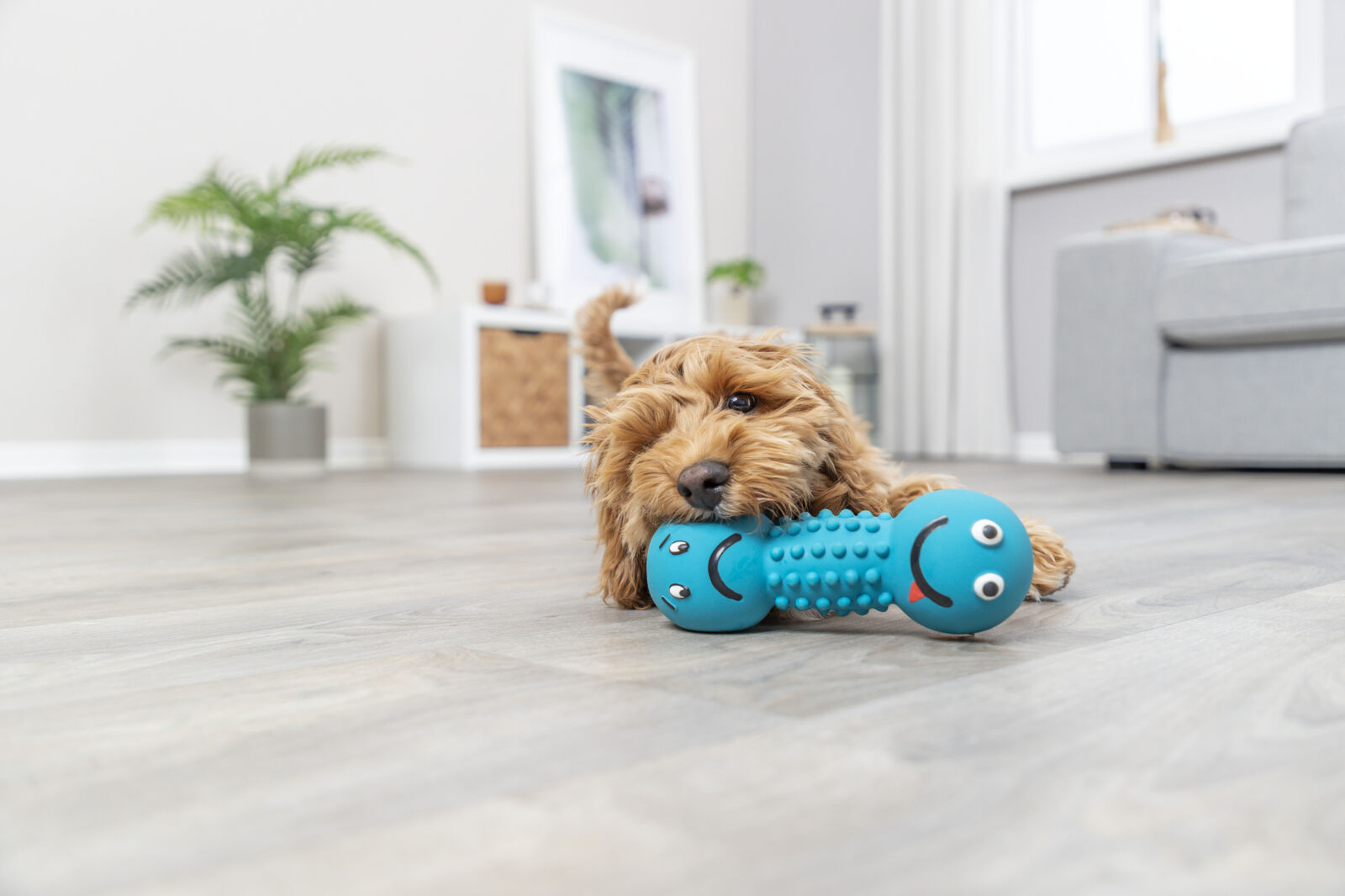 Smiley haltère, latex, 19cm Smiley haltère, latex, 19cm