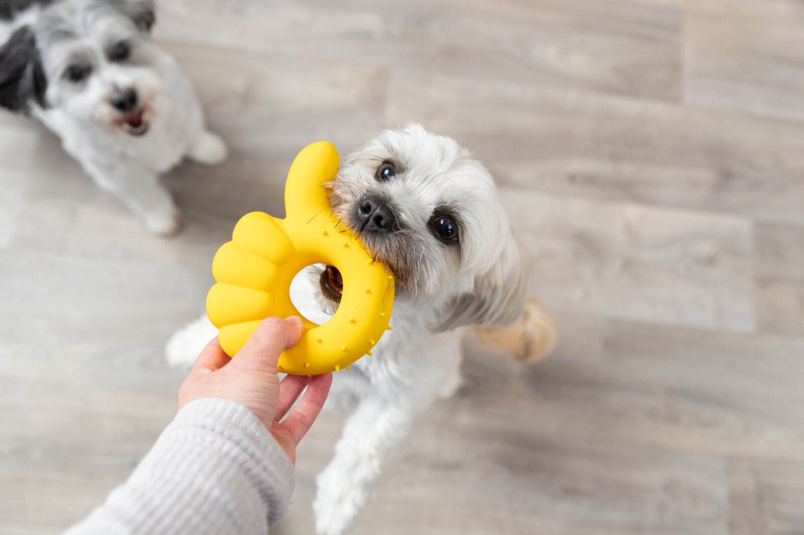 Pouce, en latex, 14 cm Pouce, en latex, 14 cm