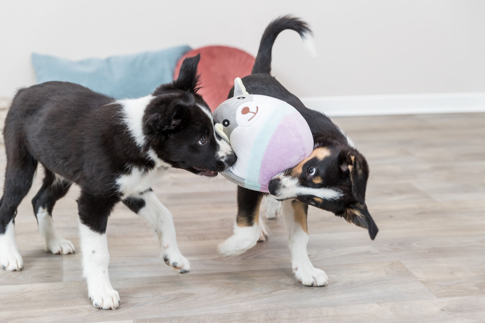 Junior ours, en peluche, 20cm Junior ours, en peluche, 20cm