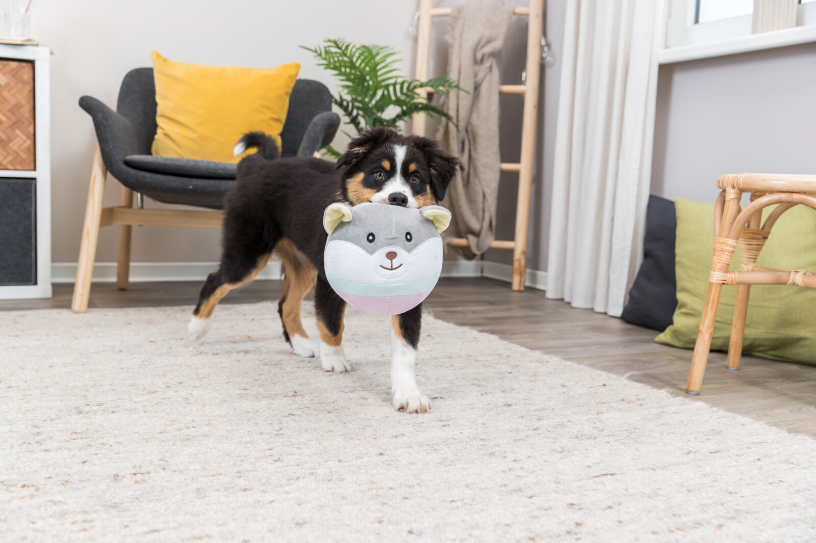 Junior ours, en peluche, 20cm Junior ours, en peluche, 20cm