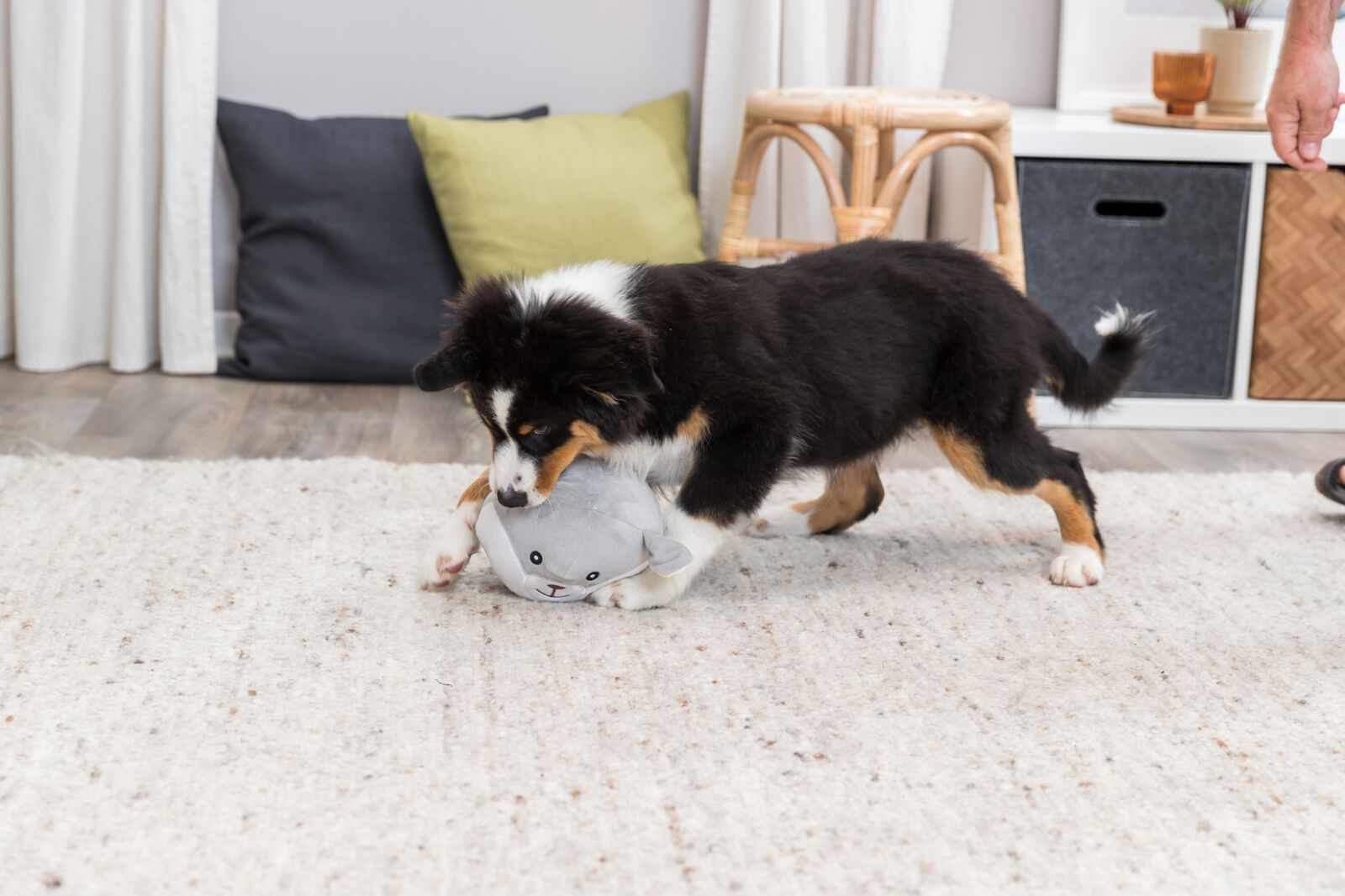 Junior ours, en peluche, 20cm Junior ours, en peluche, 20cm