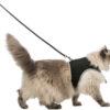 Harnais doux avec laisse pour chats, XL,1,20m,noir