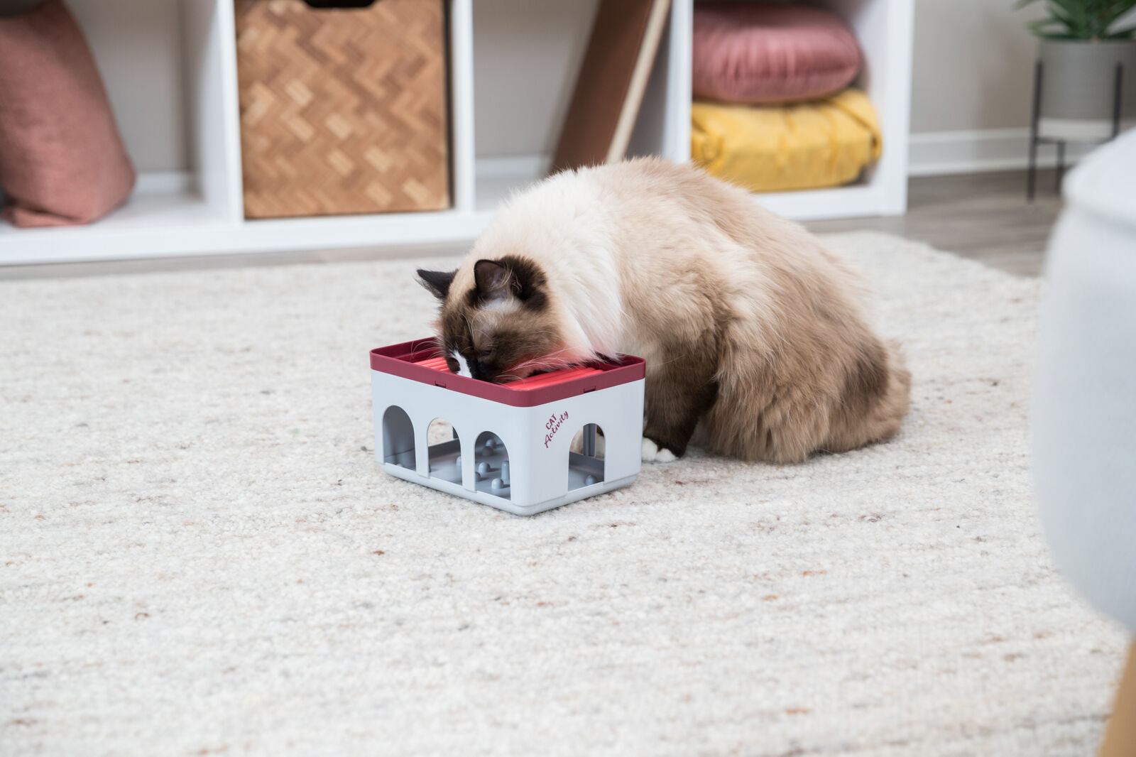 Cat Activity Rod Box, 20 × 12 × 16 cm Cat Activity Rod Box, 20 × 12 × 16 cm