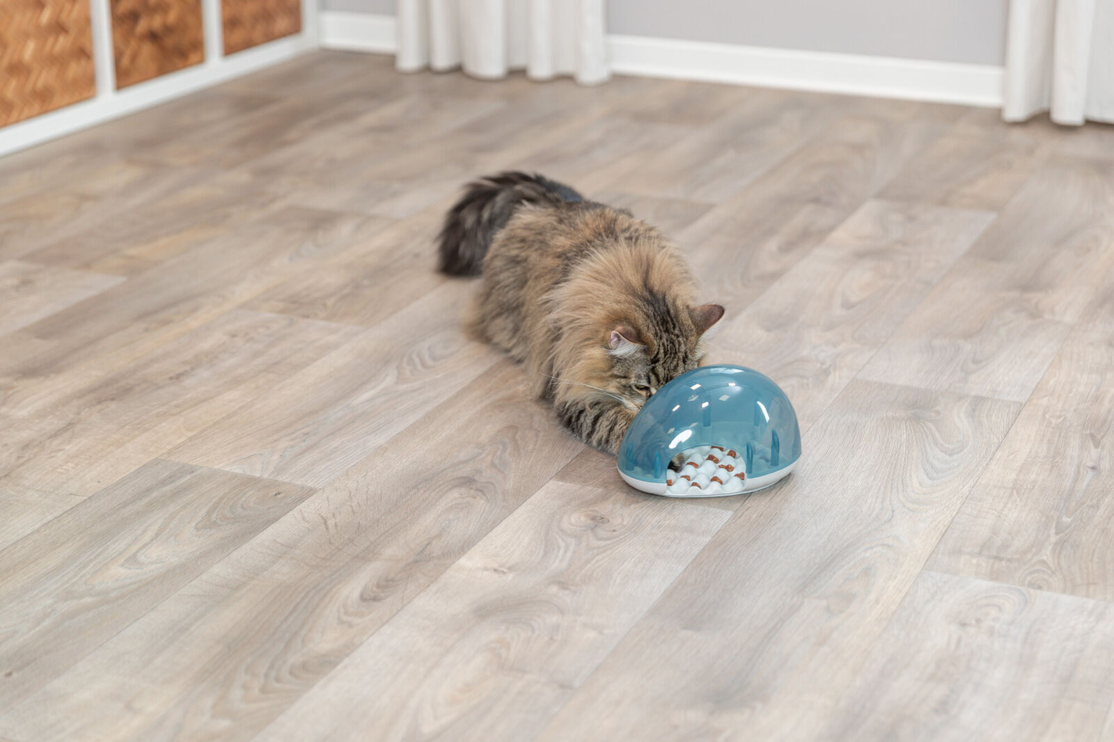 Cat Activity Slow Feed,19×13×14cm Cat Activity Slow Feed,19×13×14cm