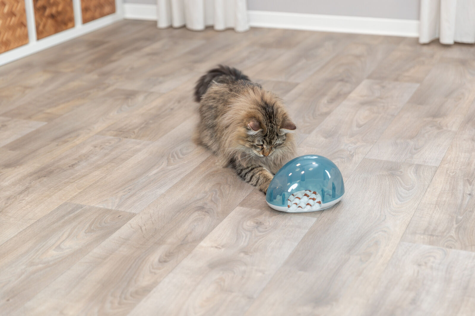 Cat Activity Slow Feed,19×13×14cm Cat Activity Slow Feed,19×13×14cm