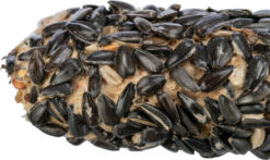 Alternative view of Aliment en barre XL avec des graines de tournesol, 30 cm