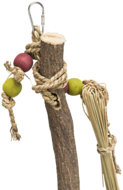 Alternative view of Epi à picorer