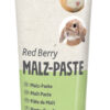 Pâte de malt Red Berry