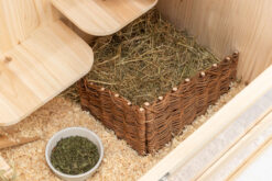 Alternative view of Eck-Element, Weide