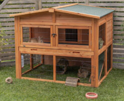 natura Clapier lapin XL , 135×115×112 cm