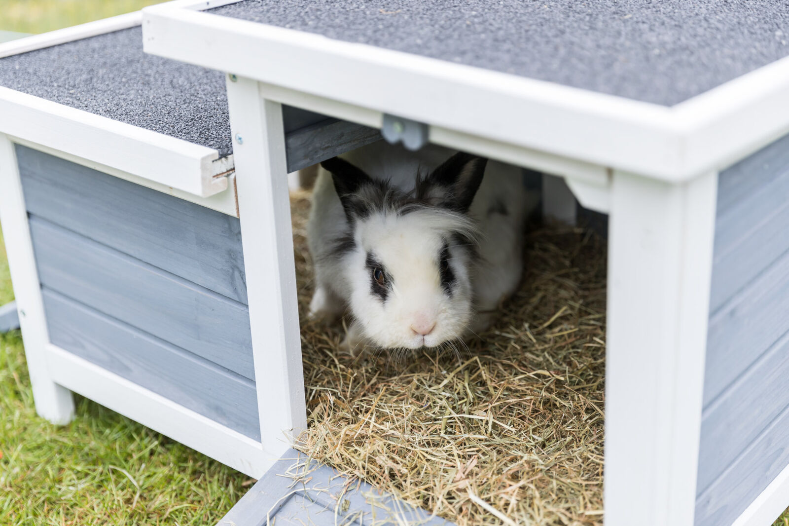 natura habitat petits animaux avec deux entrées, blanc/gris 70×43×45cm natura habitat petits animaux avec deux entrées, blanc/gris 70×43×45cm