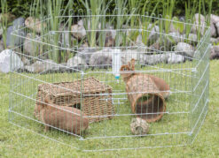 natura Enclos, galvanisé, 6 éléments de 63×60cm